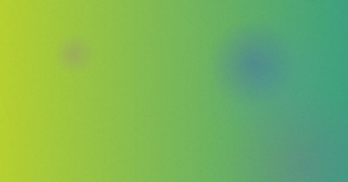 丽兰对比：一次选购复盘